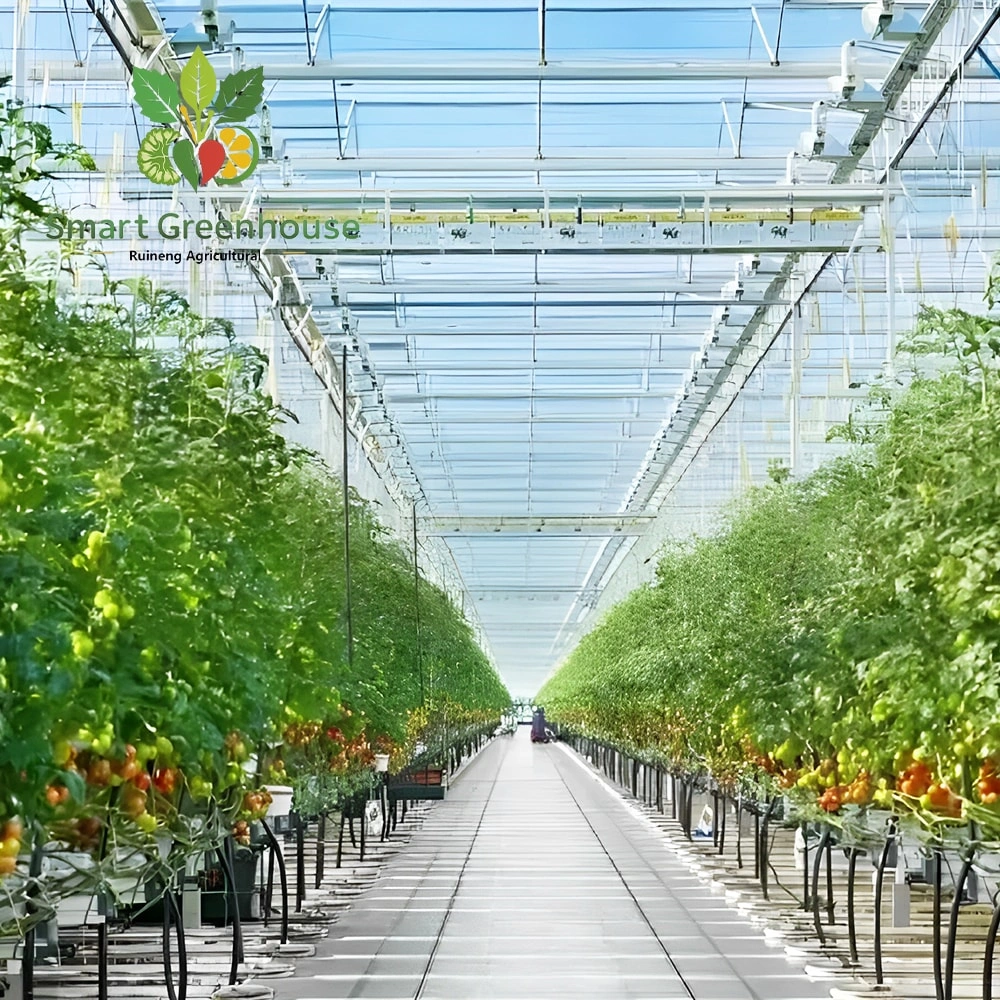 Glass Smart Greenhouse