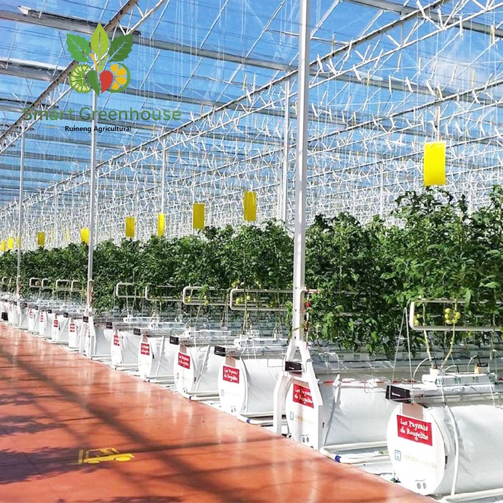 Multi Span Intelligent Greenhouse