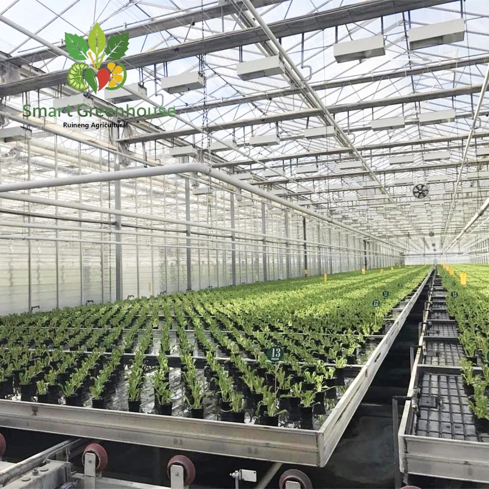 Hydroponic Greenhouse