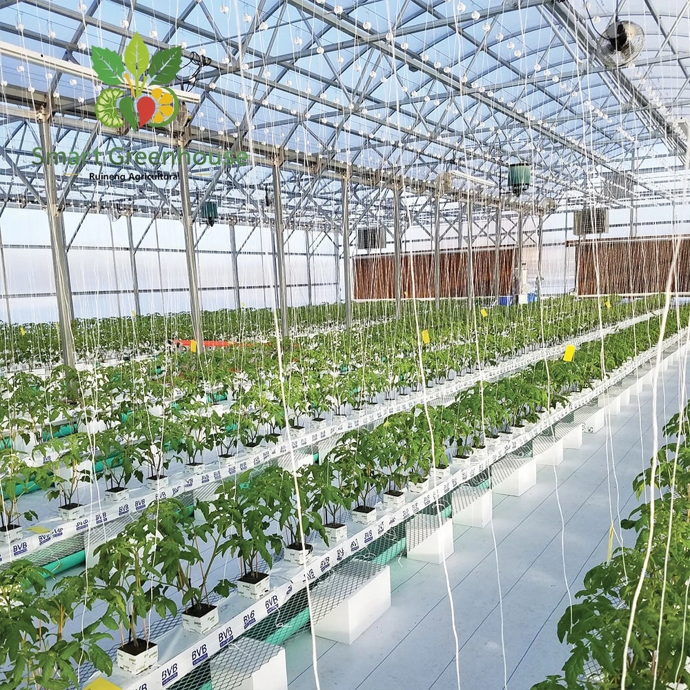 Aeroponic Towers Greenhouses