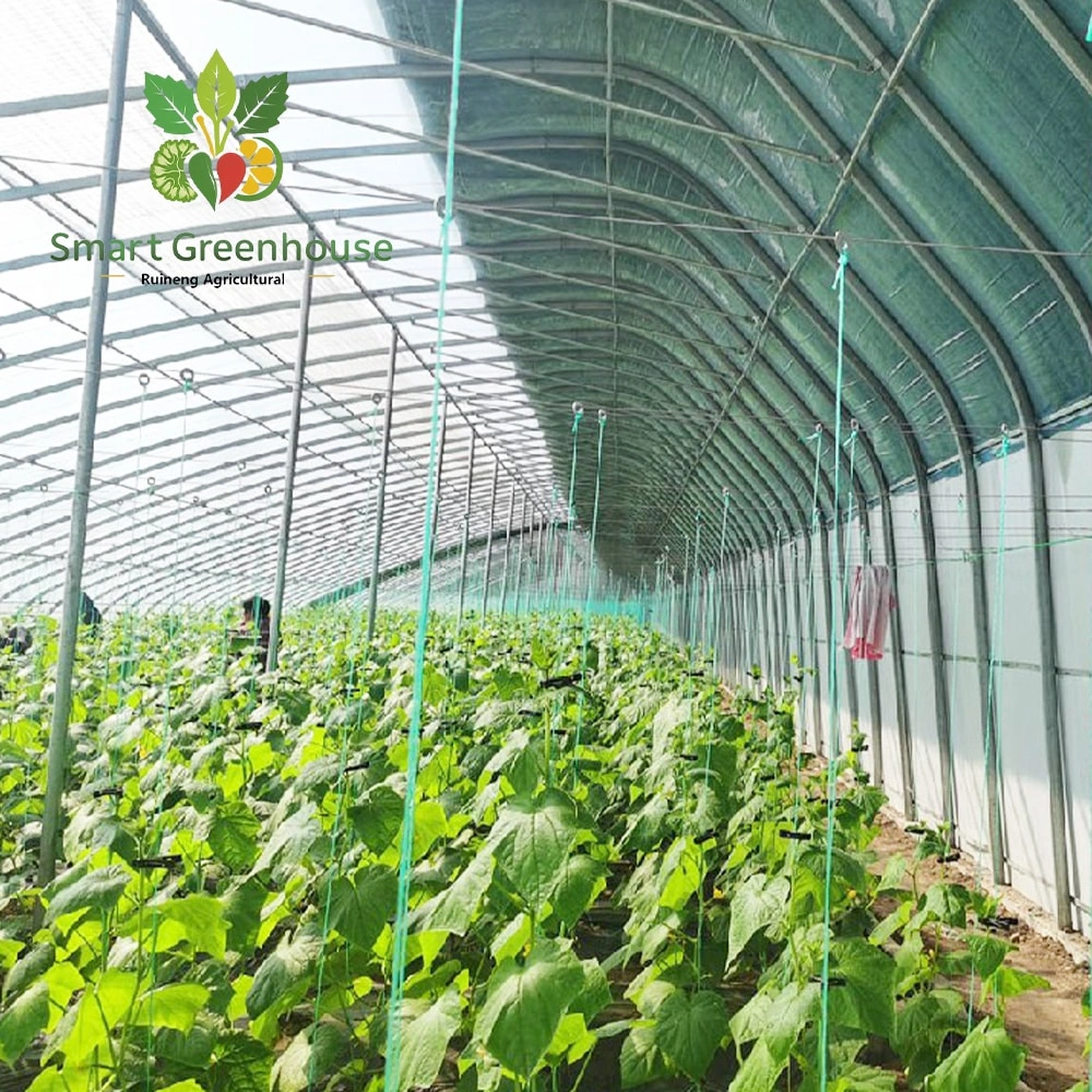 Modern Solar Greenhouse