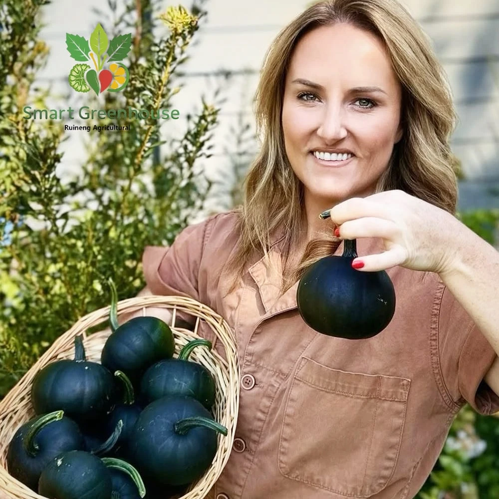 Film Multi-Span Greenhouse for Canada