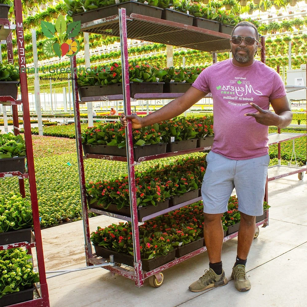 Vegetable Greenhouse Project for the United Kingdom