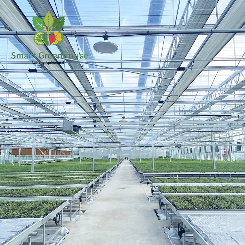 Multi Span Greenhouse