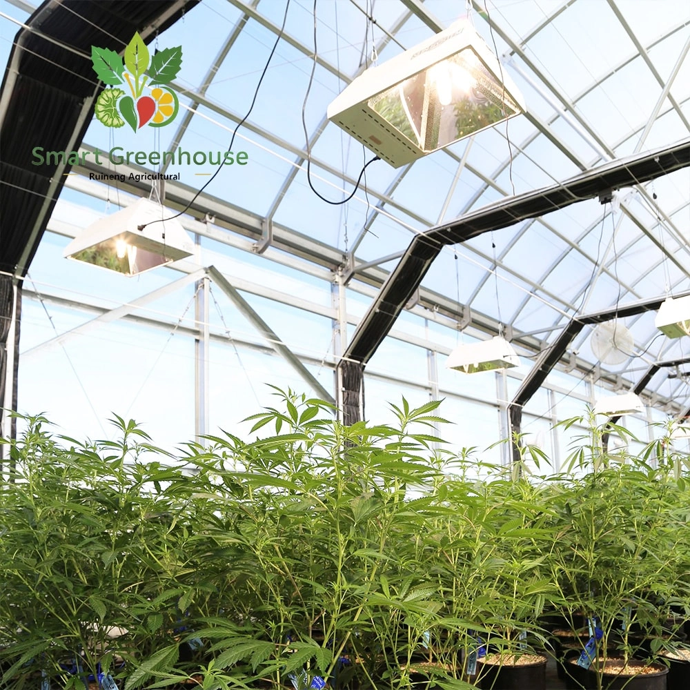 Blackout Greenhouses