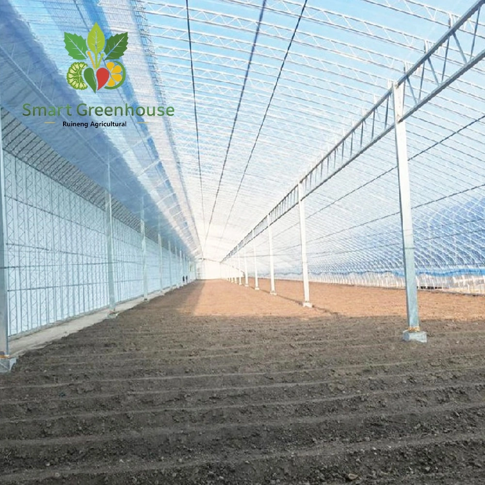 Multi Span Film Greenhouse