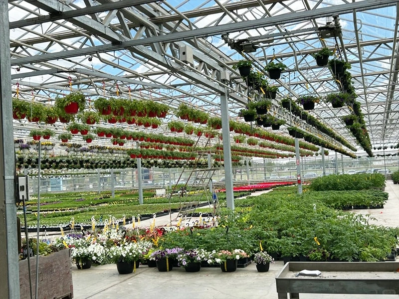 Intelligent Glass Greenhouses: Transforming Modern Agriculture