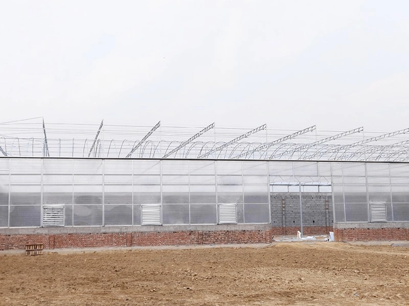 Exploring the Different Types of Greenhouses: Meeting Diverse Needs Around the World