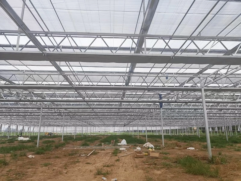 Exploring the Different Types of Greenhouses: Meeting Diverse Needs Around the World