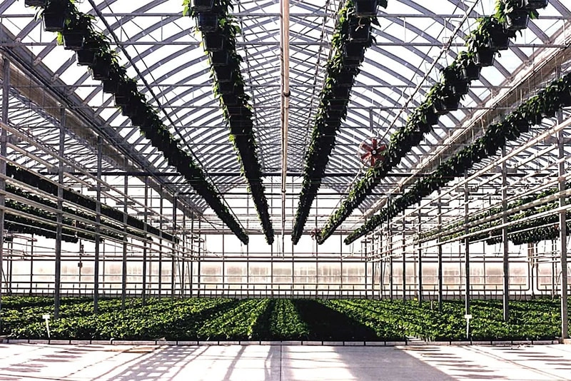 modern greenhouse