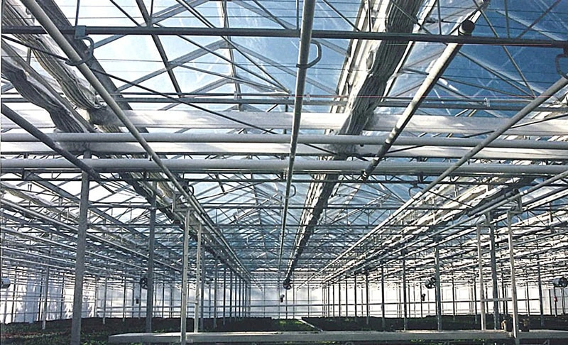 modern greenhouse