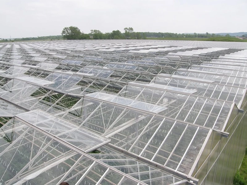 modern greenhouse