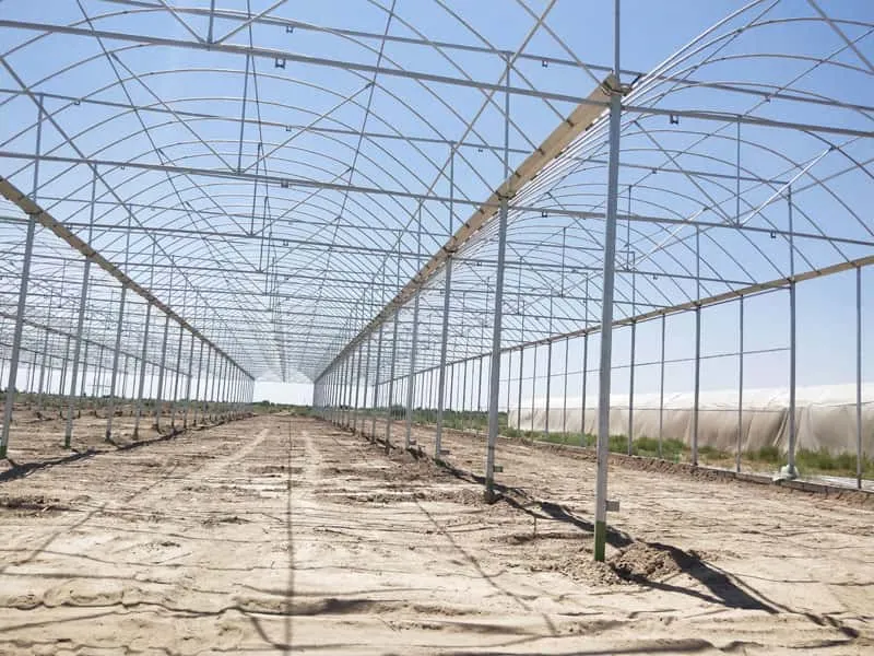 The Development and Application of Commercial Greenhouses in Australia