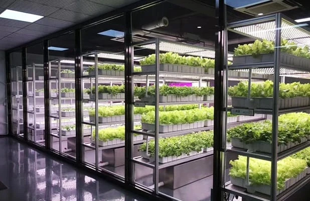 Revolutionizing Agriculture with Plant Factories and Smart Plant Containers