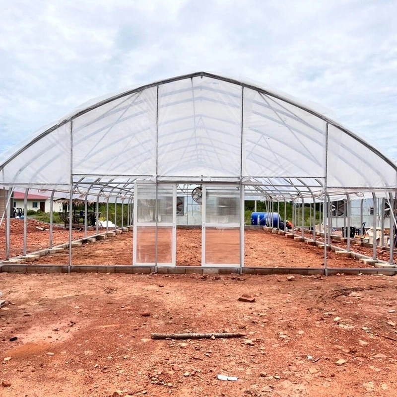 In recent years, the demand for efficient and space-saving gardening structures has grown rapidly, especially among urban growers and home gardening enthusiasts. Among the most popular choices is the Walk-In Greenhouse — a compact, practical structure that provides the benefits of controlled environment agriculture without the need for a large footprint.