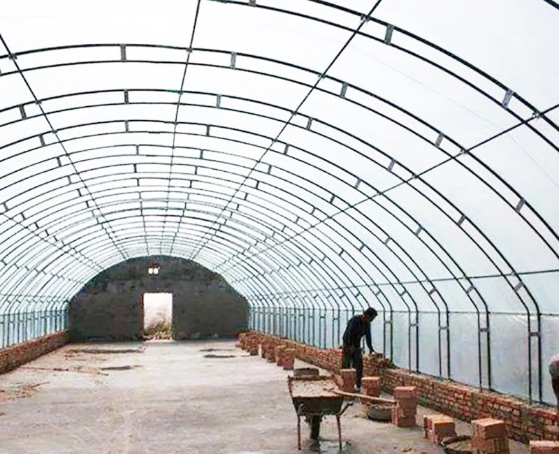 Understanding the Difference Between Polytunnel Greenhouses and Tunnel Greenhouses