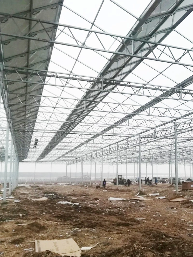 Understanding the Difference Between Polytunnel Greenhouses and Tunnel Greenhouses