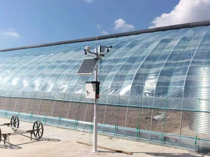 Enhancing Crop Yield with Dissolved CO₂ Technology in Single Greenhouses