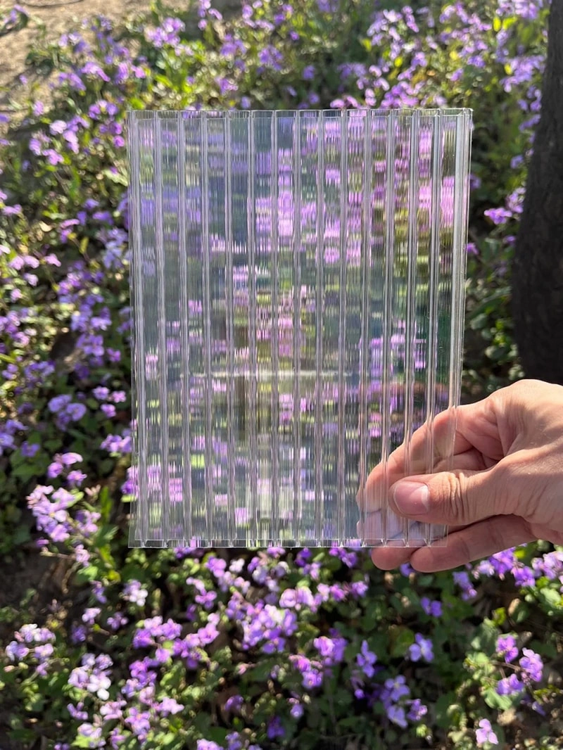 The Advantages and Applications of Polycarbonate Greenhouses