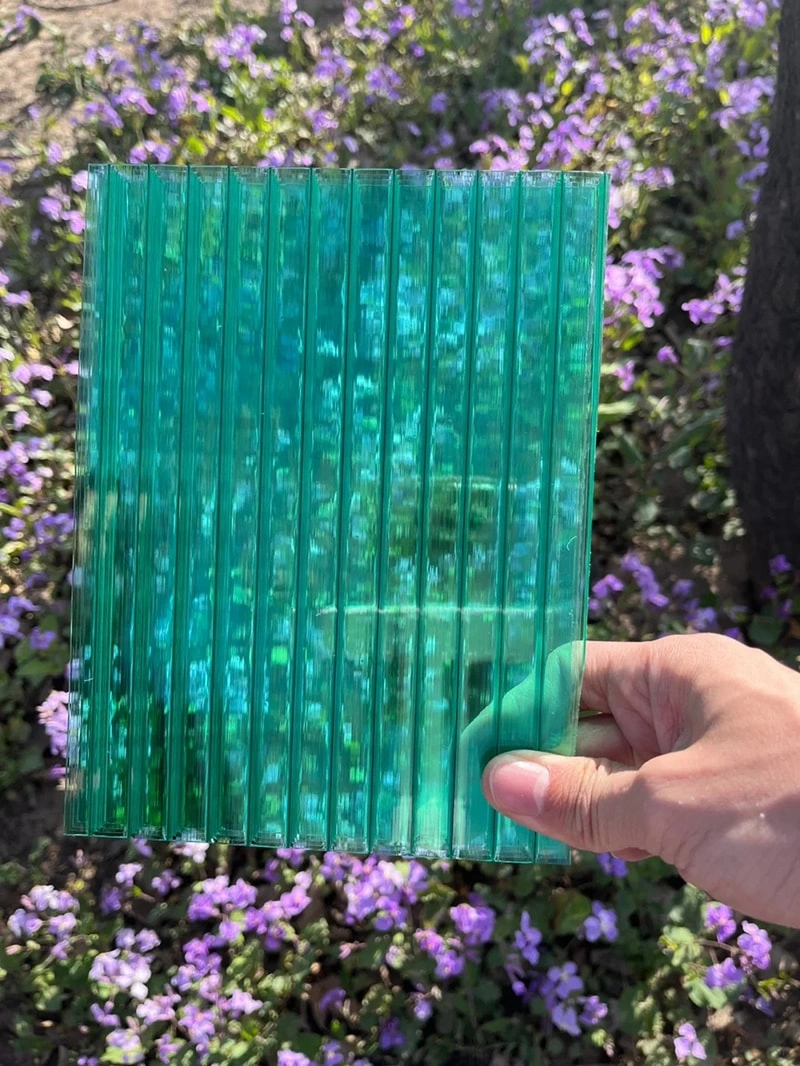 The Advantages and Applications of Polycarbonate Greenhouses