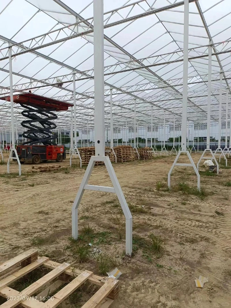 The Advantages and Applications of Polycarbonate Greenhouses