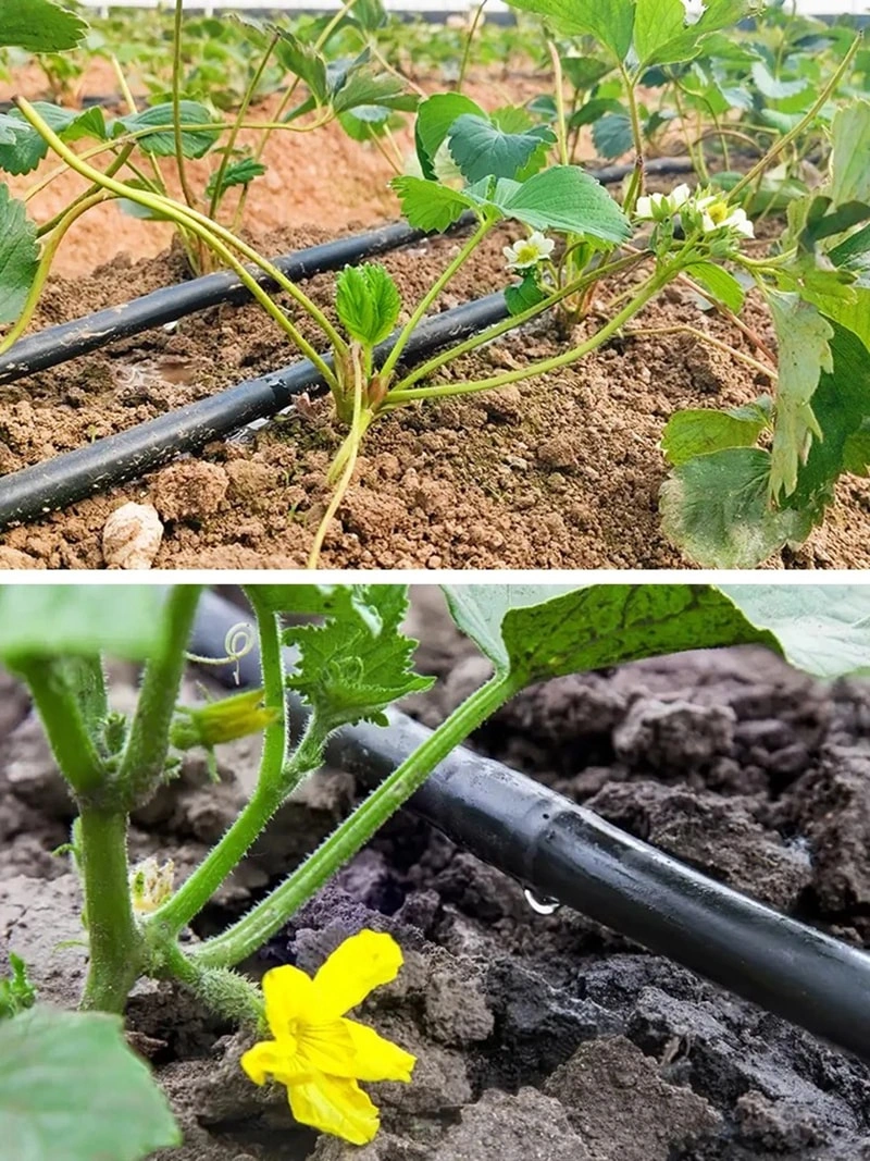 The Advantages, Features, and Main Product Specifications of Drip Irrigation and Agricultural Greenhouse in Irrigation