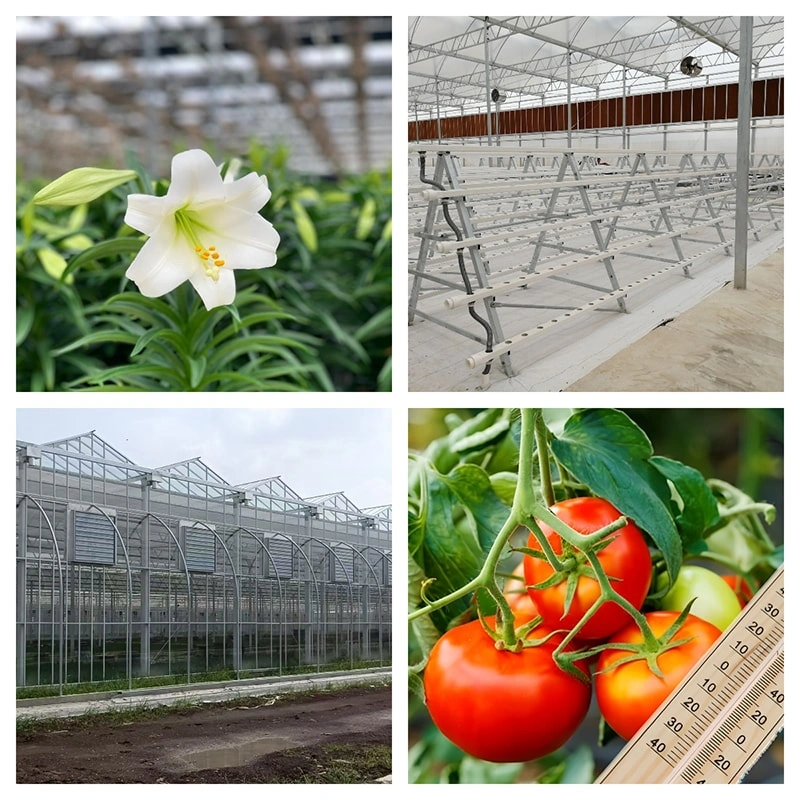 The key parameters for a smart glass greenhouse are crucial for ensuring optimal growing conditions and efficient operation. Here are the main parameters and design specifications: