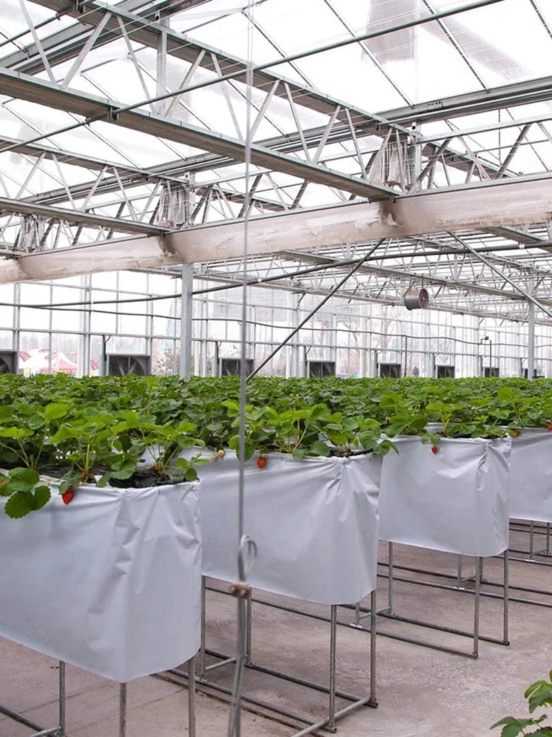 Applications of Greenhouse Technology in Modern Agriculture