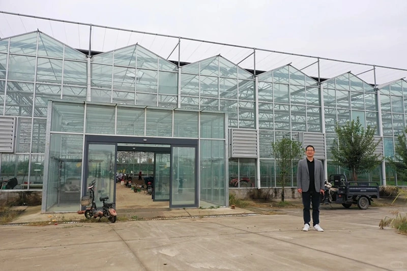 Vegetable Growing Greenhouse: Optimal Design, Cost & Sustainable Practices