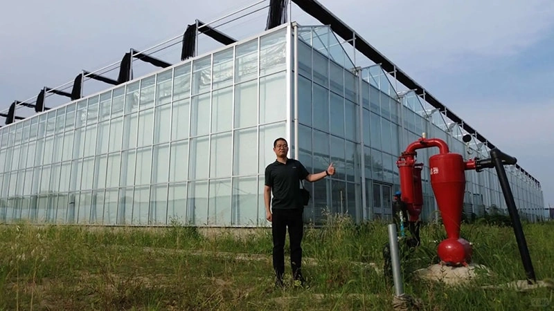 Vegetable Growing Greenhouse: Optimal Design, Cost & Sustainable Practices