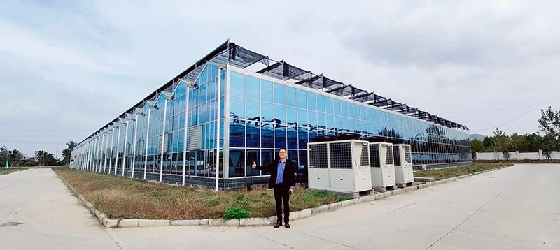 China Glass Greenhouse Suppliers – Leading Manufacturers of High-Quality Multi-Span Film Greenhouses