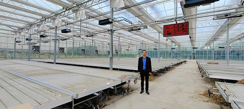 China Glass Greenhouse Suppliers – Leading Manufacturers of High-Quality Multi-Span Film Greenhouses