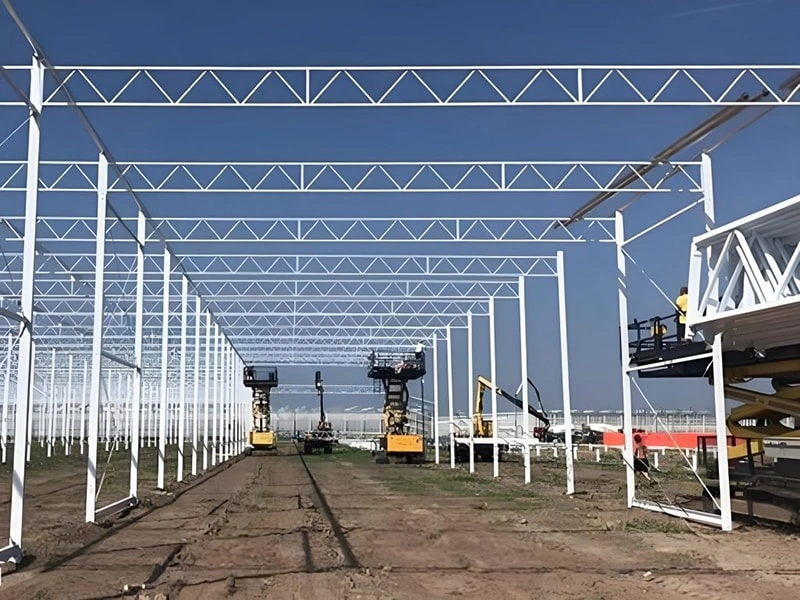 Introduction to Ruineng Commercial Greenhouses