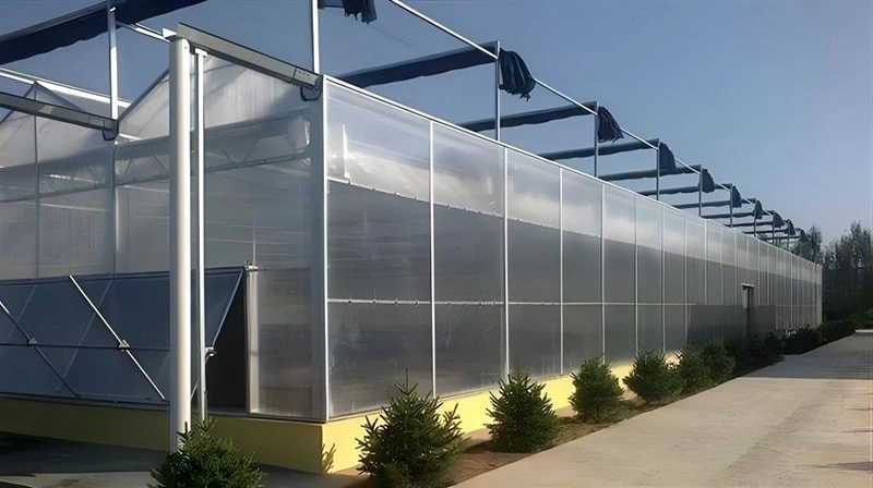 Introduction to Ruineng Commercial Greenhouses