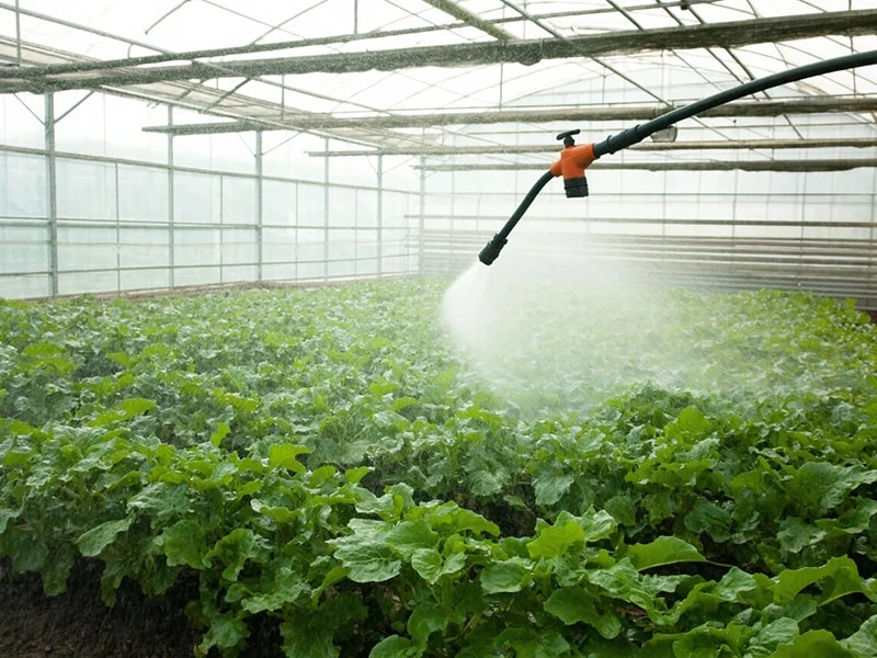 Smart Climate Control in Modern Commercial Greenhouses: The Ruineng Advantage