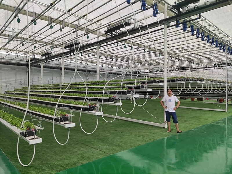 Ruineng Smart Greenhouse: Revolutionizing Modern Agriculture with Advanced Technology and Customized Solutions