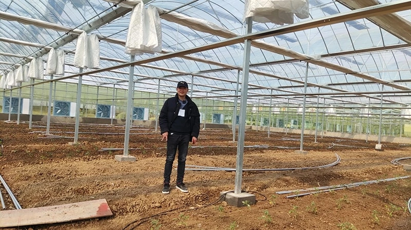 Ruineng Smart Greenhouse: Revolutionizing Modern Agriculture with Advanced Technology and Customized Solutions