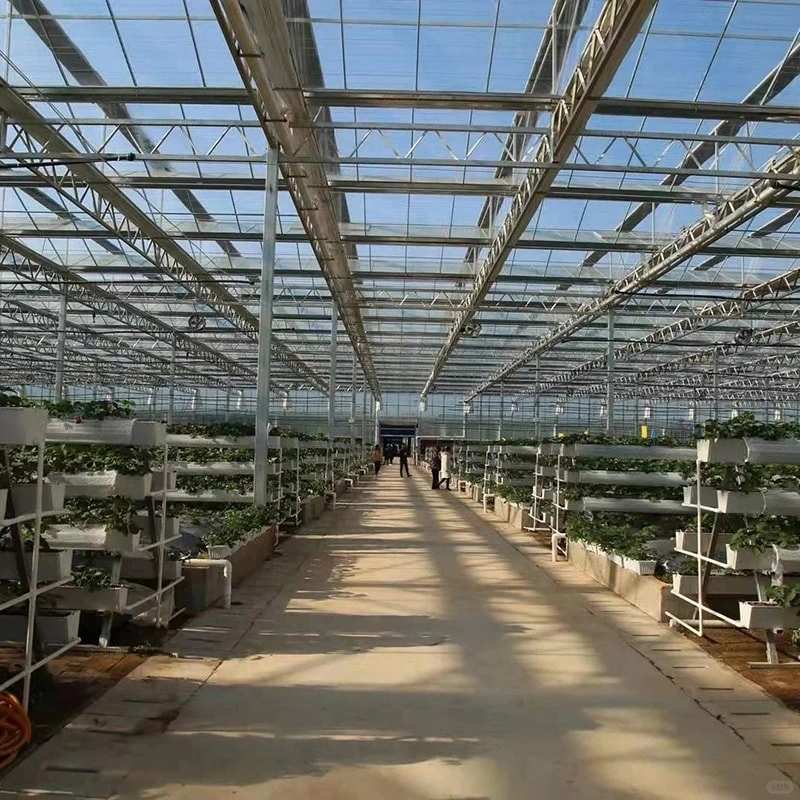 Modern Glass Greenhouses: Revolutionizing Agriculture with Advanced Technology