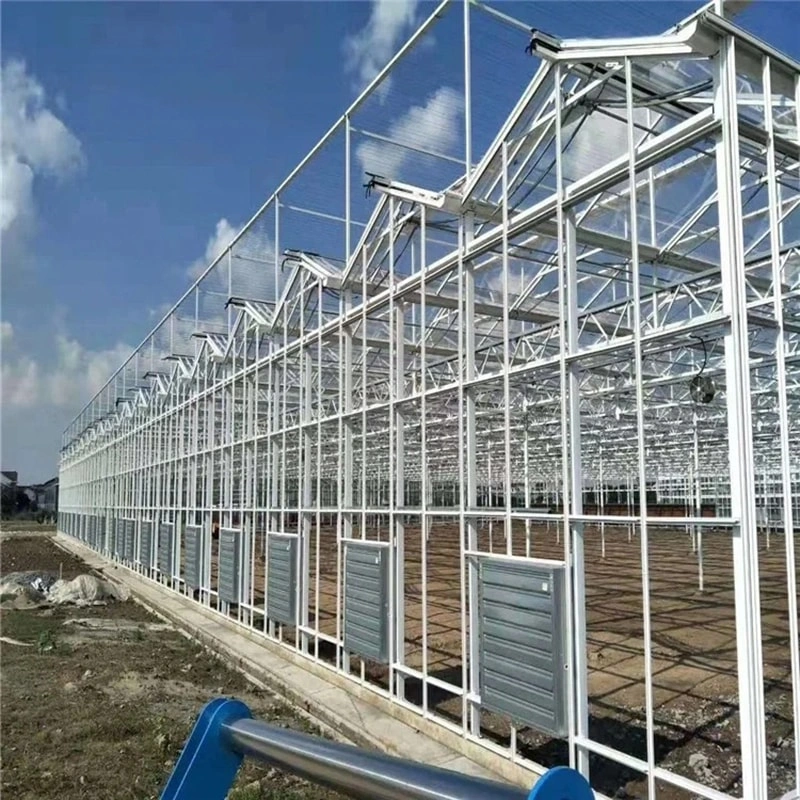 Modern Glass Greenhouses: Revolutionizing Agriculture with Advanced Technology