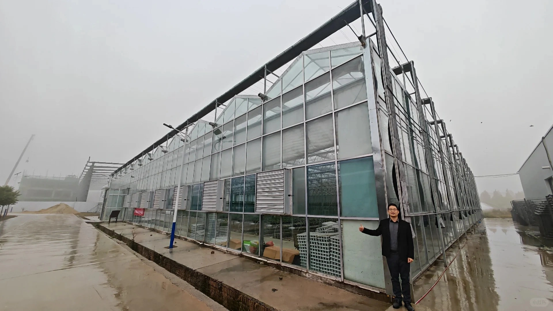 The Approximate Cost of Modern Glass Greenhouses: A Comprehensive Analysis