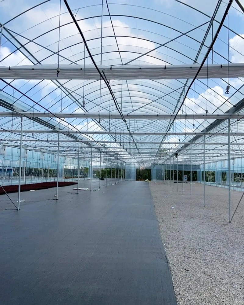 High-Quality Large Glass Greenhouse Project in Australia  