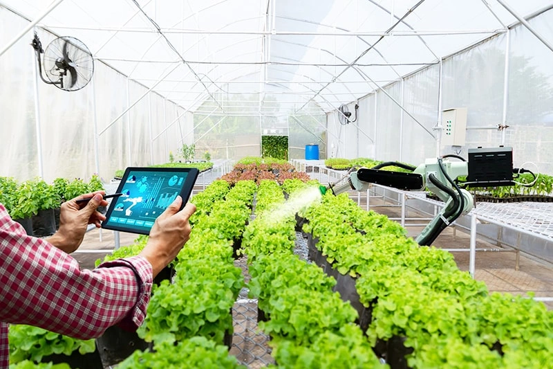 Ruineng Greenhouse to Showcase Innovative Solutions at IRRISHOW 2026