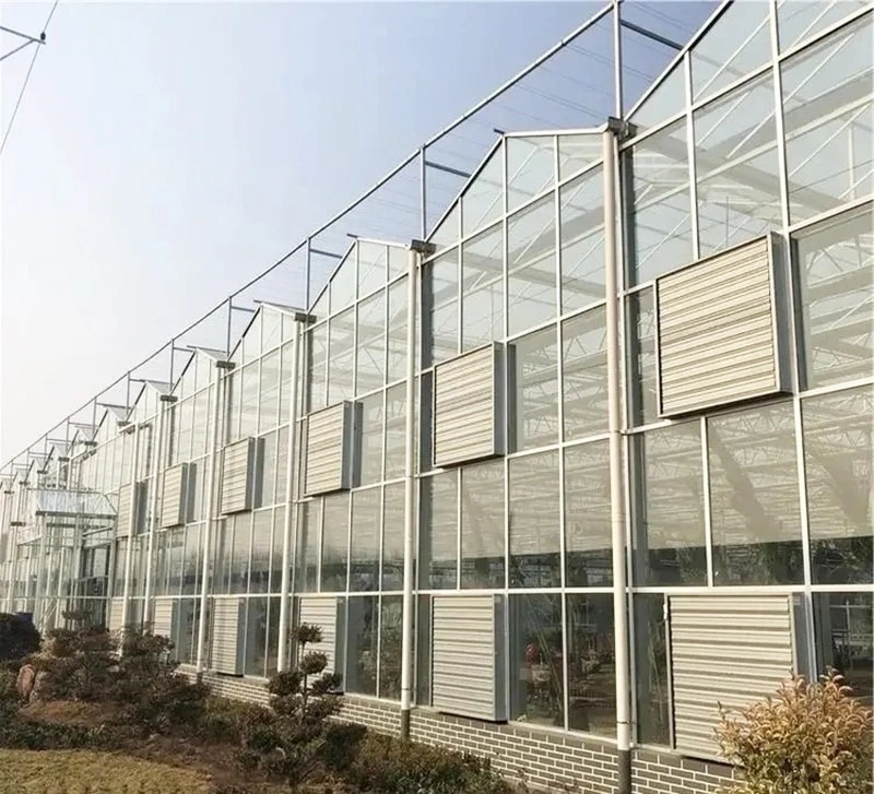 Pioneering in Tempered Glass Greenhouse Solutions
