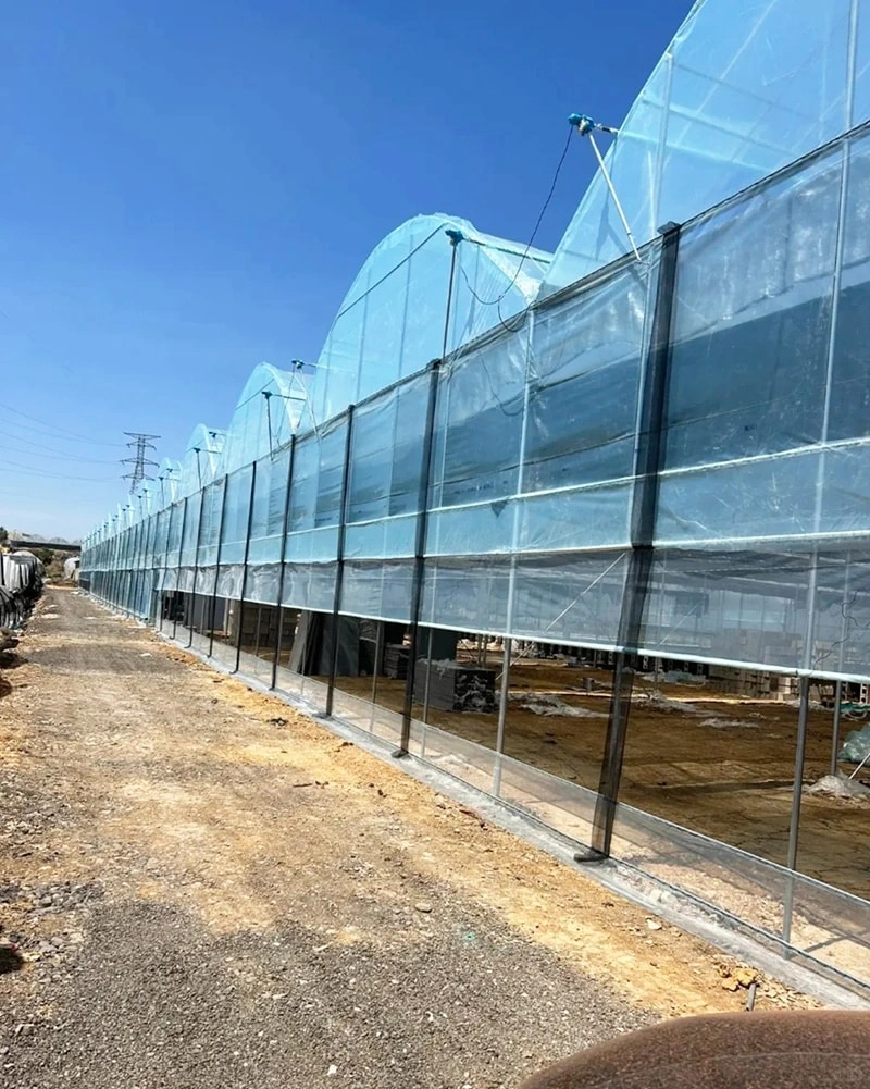 Pioneering in Tempered Glass Greenhouse Solutions
