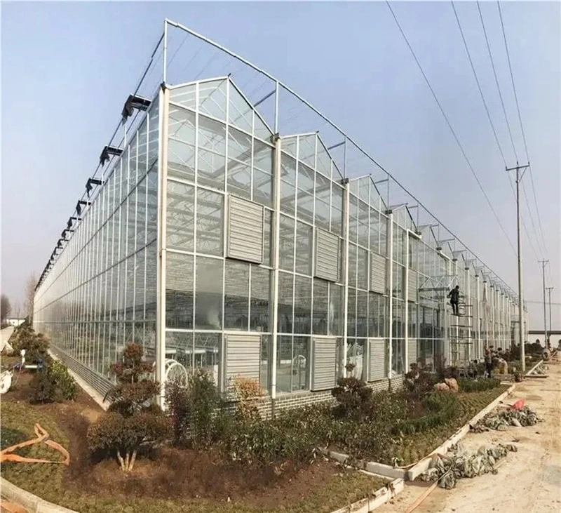 Pioneering in Tempered Glass Greenhouse Solutions