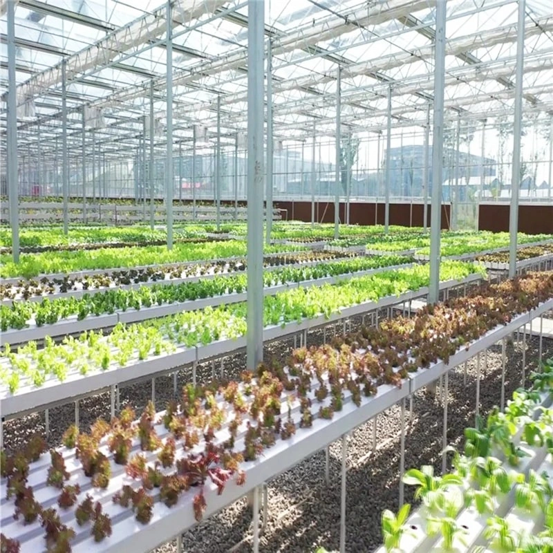 The Allure and Practicality of Gothic Greenhouses: A Guide to Construction and Key Features