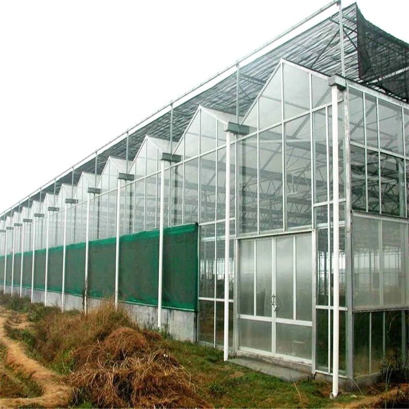 The Allure and Practicality of Gothic Greenhouses: A Guide to Construction and Key Features