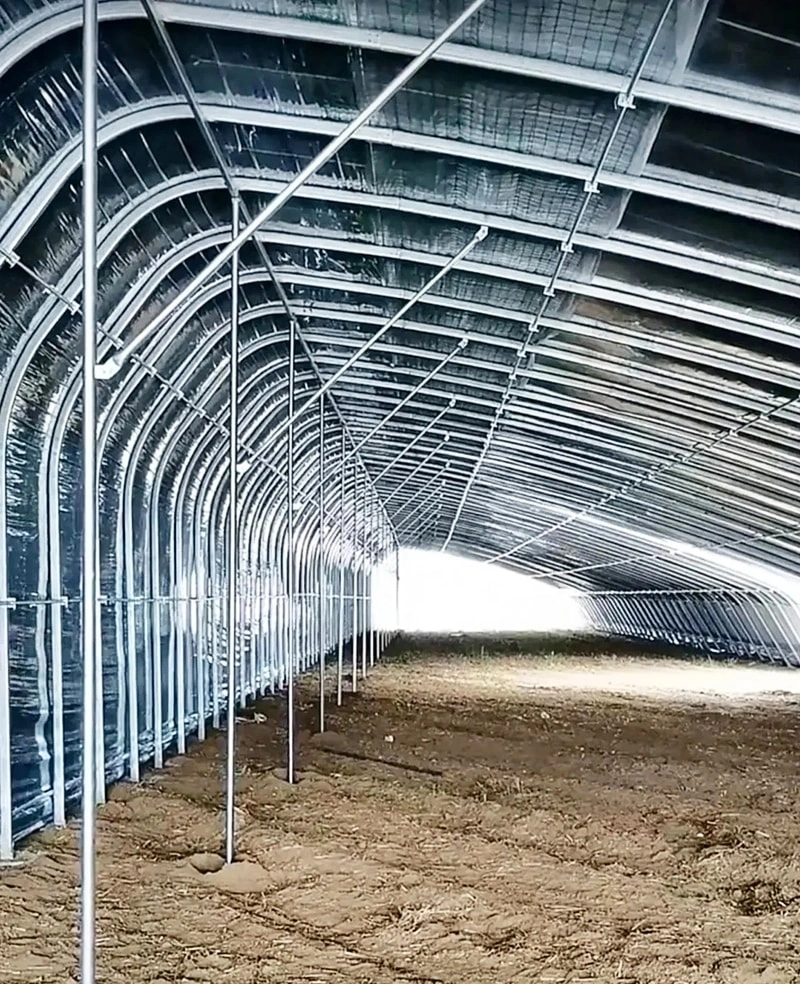The 1000-Square-Meter Hydroponics Greenhouse in Italy
