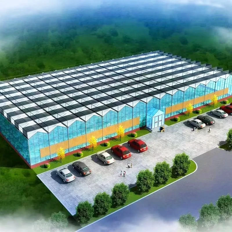 Venlo-Type Multi-Span Greenhouses: A Leading Solution for Modern Agriculture  