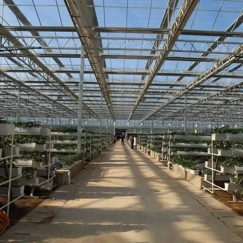 Five Intelligent Technologies Powering Modern Greenhouses